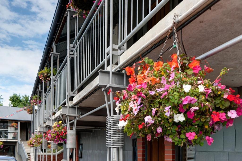 Country Glen Lodge Christchurch Dış mekan fotoğraf