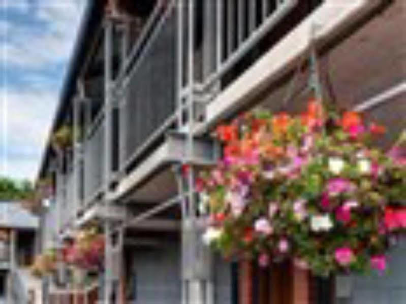Country Glen Lodge Christchurch Dış mekan fotoğraf